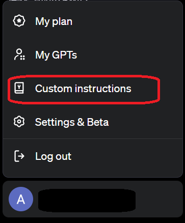 Custom Instructions：2